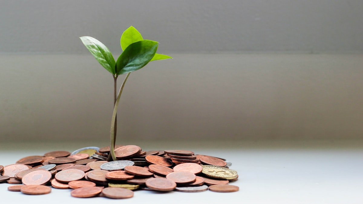 Glass jar labeled savings with growing plant representing emergency savings fund